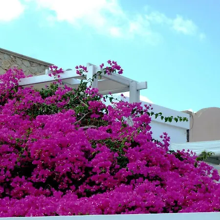 Szálloda Bougainvillea 3*