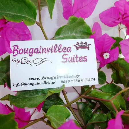 Szálloda Bougainvillea 3*