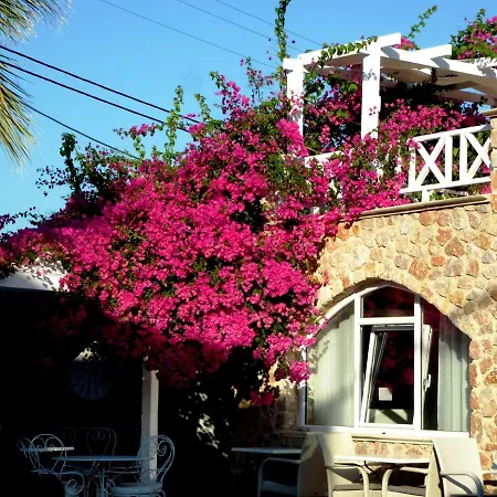 מלון Bougainvillea 3*